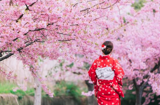 Japon Bahçelerinde Bahar Renkleri